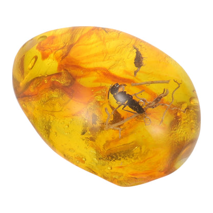 Natural And Mineral Stones Home Decor Natural Insect Insects Amber Gemstone DIY Crafts Gift Artificial Amber Resin Specimen